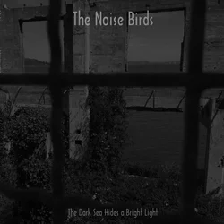 The Noise Birds - The Dark Sea Hides A Bright Light (LP)