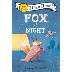 Fox at Night