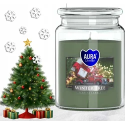 AURA Dišeča sveča AURA ZIMSKO DREVO 100 ur snd99-348