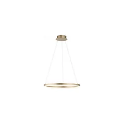 Paul Neuhaus 2382-60 - LED prigušiva luster na sajli TITUS LED/38,5W/230V