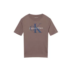 Calvin Klein Jeans Majica modra/rjava/bela