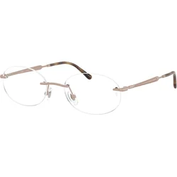 Ray-Ban RX3767V 3207