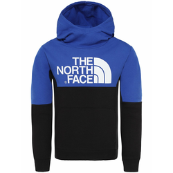 THE NORTH FACE South Peak Hoodie tnf black/tnf blue Gr. S