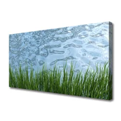 tulup.si Slika na platnu Voda grass nature 100x50 cm