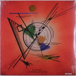 Tijn Wybenga & AM.OK - Brainteaser (LP)