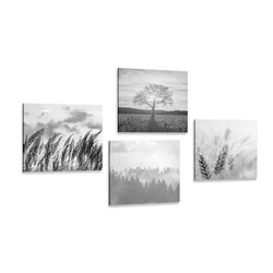 Set slik čar črnobele pokrajine - 4x 60x60