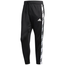 Trenirka adidas Pro Maness Black