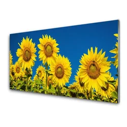 tulup.si Steklena slika Rastlinski sončnice 120x60 cm 2 obešalnika