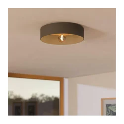Eglo 901745 - Plafonsko svetlo DUAIA 1xE27/40W/230V siva