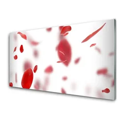 tulup.si Steklena slika Vrtnice narava 100x50 cm 2 obešalnika