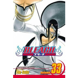 Bleach, Vol. 33