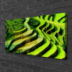tulup.si Slika na platnu Rice field forest narava 100x50 cm