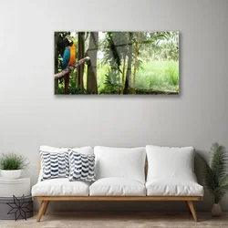 tulup.si Steklena slika Parrot tree narava 125x50 cm 4 obešalnika