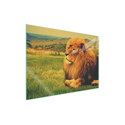 shumee Steklena zaščitna plošča za štedilnik 70x52 Lion