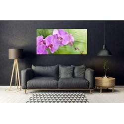 tulup.si Slika na akrilnem steklu Orhideja orhideje 140x70 cm 2 obešalnika
