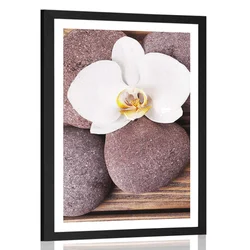 Plakat s paspartujem wellness kamni in orhideja na lesenem ozadju - 30x45 no frame