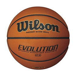 košarkarska žoga Wilson Evolution 5