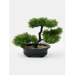 Sinsay - Dekorativna biljka – bonsai drvo - zeleno