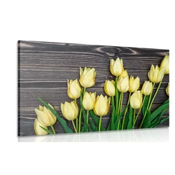 Slika očarljivi rumeni tulipani na lesenem ozadju - 60x40