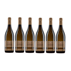 Vinarija Aleksandrović Trijumf Terroir belo vino, paket vina, 6 boca