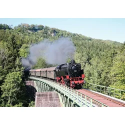Ravensburger - Puzzle Železnica Sauschwänzlebahn - 1 000 kosov
