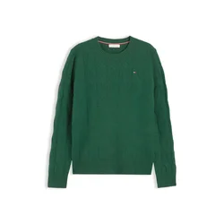 TOMMY HILFIGER Pulover zelena