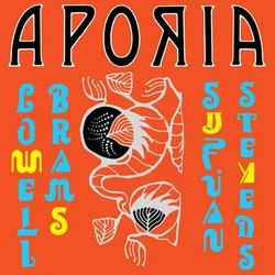 Sufjan Stevens & Lowell Brams Aporia (Vinyl LP)