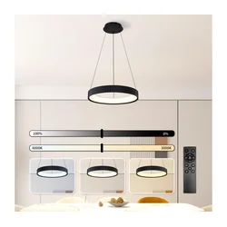 Brilagi - LED prigušiva luster na sajli FALCON MODERN LED/30W/230V 40 cm crna + daljinski upravljač
