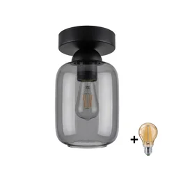 BRILAGI - LED plafonsko svetlo R GLASS 1xE27/60W/230V prečnika 14 cm crna/zadimljena siva