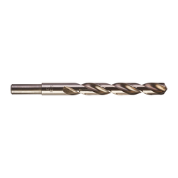 Milwaukee Pakovanje 10 burgija THUNDERWEB HSS-G 10/1, 12x151x101mm