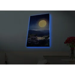 Zidna slika sa LED osvetljenjem 4570HDACT-072, 45x70 cm