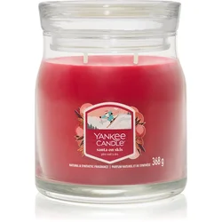 Yankee Candle Signature Medium Jar 2 Wicks Santa On Skis Universal