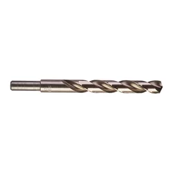 Milwaukee Pakovanje 10 burgija THUNDERWEB HSS-G 10/1, 13x151x101mm
