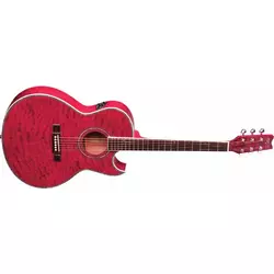 Washburn EA 17 TRK elektro-akustična gitara