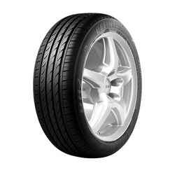 Delinte DH2 ( 225/50 R17 98W XL ) Cijelogodišnje gume