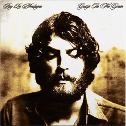 Ray Lamontagne - Gossip In The Grain (2 LP)