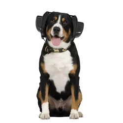 BOLLSEN Glušniki za pse Dog+, L