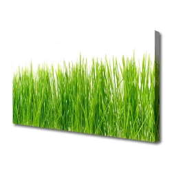 tulup.si Slika na platnu Grass nature rastlin 125x50 cm