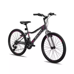 Galaxy Bicikl galaxy festina 24/18 siva/crna/roza mat ( 650243 )