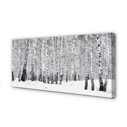 tulup.si Slika na platnu Zimske breze 120x60 cm