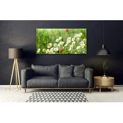 tulup.si Steklena slika Daisy rastlin narava 140x70 cm 2 obešalnika