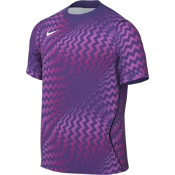 Nike Dres Dri-FIT Gardien VI Goalkeeper
