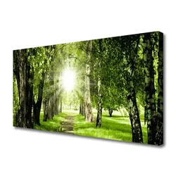 tulup.si Slika na platnu Sun forest narava pot 140x70 cm