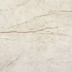 Rain Forest White Pulido 98x98