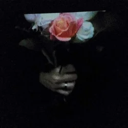 Paper Dollhouse - Aeonflower (LP)