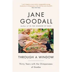 Through A Window