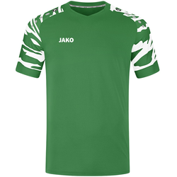 Dres Jako t Wild KA