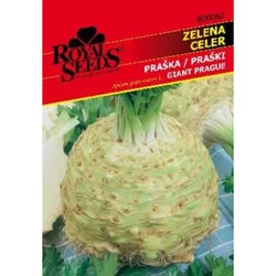 Seme Royal 62, zelena Praška