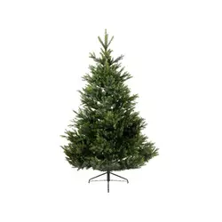 Everlands Jelka Arlberg fir 180cm-127cm 68.4381