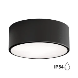 Brilagi - Stropno svetlo za kupatilo CLARE 1xE27/24W/230V prečnik 20 cm IP54 crno